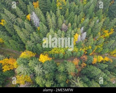Aerial view of the Swiss Jura forests in autumn Stock Photo