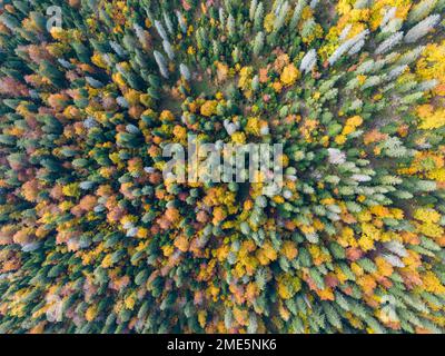 Aerial view of the Swiss Jura forests in autumn Stock Photo