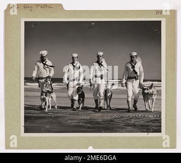 Coast Guard Dog Patrol. This image depicts Coast Guardsmen heading for their patrols with their dogs. Stock Photo