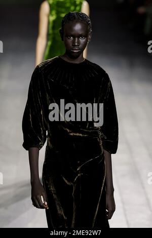 Paris, France. 23rd Jan, 2023. A guest attends of the Dior show during ...