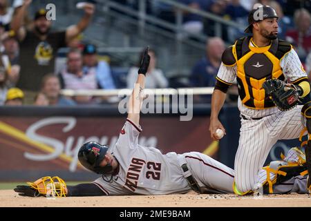 San Diego Padres catcher Webster Rivas returns to home plate in the third  inning of a baseball game against the San Francisco Giants in San  Francisco, Sunday, Oct. 3, 2021. The Giants