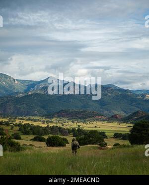 An Ivy Soldier patrols the perimeter of the training area during Command Post Exercise II on training area 24, Fort Carson Colorado, August 16, 2022. During CPX II Soldiers are expected to treat the simulated exercise as if they are in a deployed environment. The ability to 'train as you fight' is a key to the 4th Infantry Division's ability fight and win the Nation's wars. Stock Photo