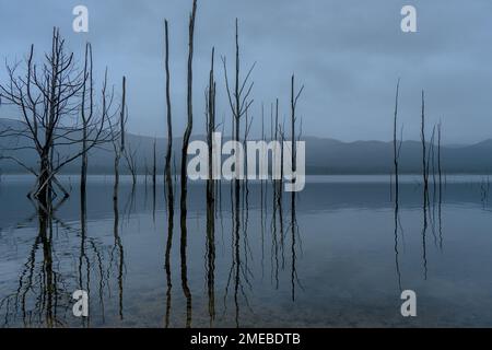 A dreary afternoon in the Grampians at Lake Bellfield. Stock Photo
