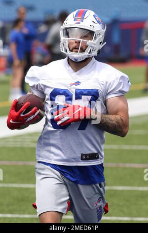 Buffalo Bills wide receiver Tanner Gentry (87) makes a catch while