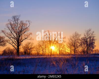 Tree and sunrise Hokkaido Prefecture Japan Stock Photo - Alamy