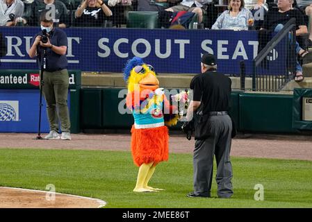 Milwaukee Brewers' Keston Hiura during the ninth inning of a baseball game  against the San Diego Padres Tuesday, May 25, 2021, in Milwaukee. (AP  Photo/Aaron Gash Stock Photo - Alamy