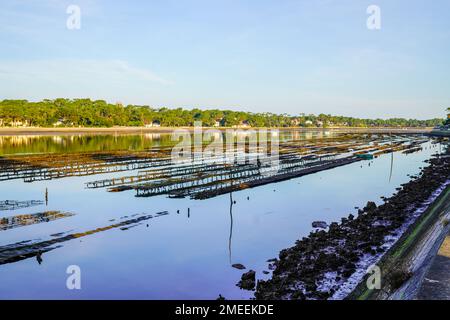 Oyster farming in lake Hossegor estuary south west france Stock Photo