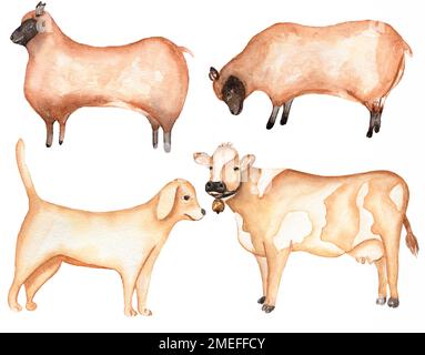 Farm Animals Clipart, Watercolor hand drawn Cow Clip art, Cute Dog illustration, Sheeps clip art, Village set Stock Photo