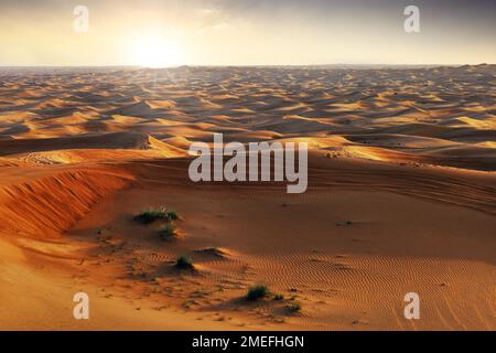 Golden sand dune desert Landscape. Beautiful sunset over dunes in the Al Madam Desert, UAE. Safari Stock Photo
