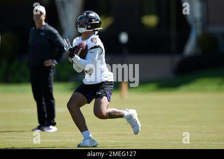 Baltimore Ravens rookie wide receiver Rashod Bateman shakes hands with  special teams coach Randy Brown during NFL football rookie minicamp  Saturday, May 15, 2021 in Owings Mills, Md. (AP Photo/Gail Burton Stock