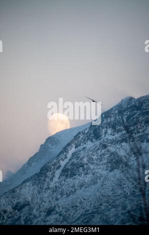 Telephoto shot of a near full moon setting behind a mountain range. Stock Photo