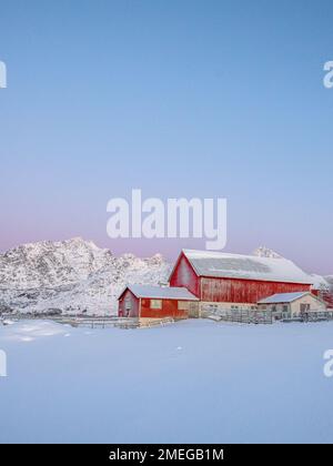 Snowy winter pastel color landscape with red barn houses in Lofoten, northern Norway pink and blue Stock Photo