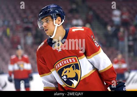 Florida Panthers defenseman Gustav Forsling (42) in action during the first  period of an NHL hockey game against the Washington Capitals, Thursday,  Feb. 16, 2023, in Washington. (AP Photo/Nick Wass Stock Photo - Alamy