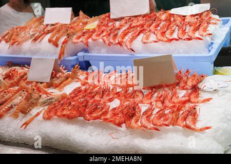 Fresh Shellfish, freshly caught Shrimp and Langoustines displayed on ice above a Market Stall. Stock Photo