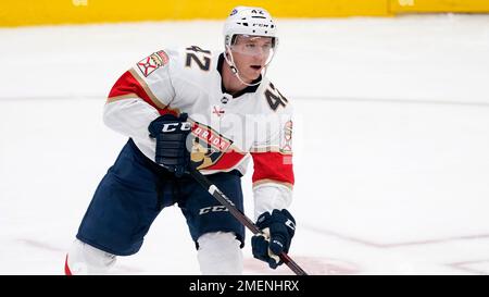 Florida Panthers defenseman Gustav Forsling plays during the third period  of an NHL hockey game, Monday, March 20, 2023, in Detroit. (AP Photo/Carlos  Osorio Stock Photo - Alamy