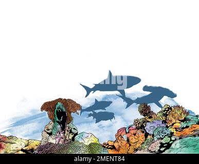 Sharks and reef Stock Photo