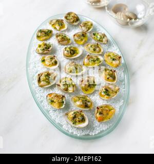 Clams served on a bed of crushed sea salt Stock Photo