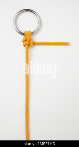 Round Turn and Two half Hitches, knot tied in yellow rope around metal ring (hitch) Stock Photo