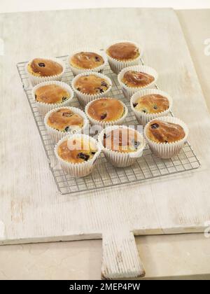 Lemon and Blueberry Muffins Stock Photo