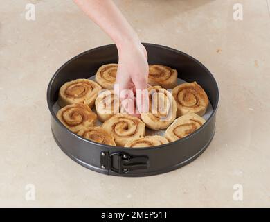 Cinnamon Rolls, placing pieces in baking tin Stock Photo