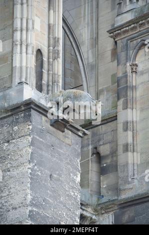 France, Alsace, Strasbourg, Cathedral of Notre Dame (Notre Dame de Strasbourg), gargoyle Stock Photo
