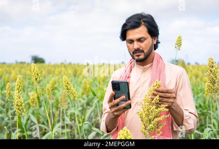 young farmer checking crop or pests details using using mobile phone at farmland - concept of analysis,modern agriculture and internet connection. Stock Photo