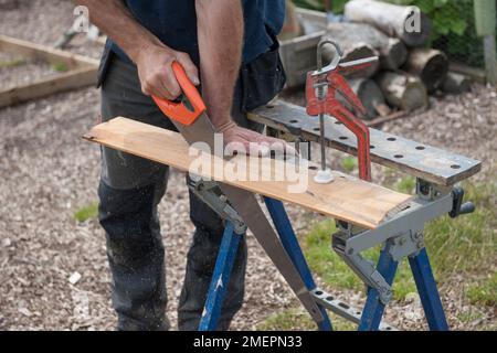 Sawing plank of wood Stock Photo