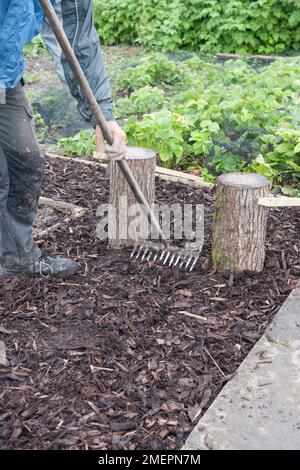 Setting tree trunk posts into concrete, constructing wooden bench Stock ...