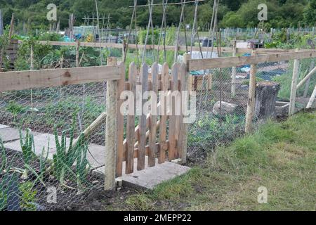 Gate in rabbit-proof allotment fence Stock Photo