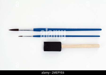 Paint brushes and sponge brush on white background, close-up Stock Photo