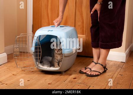 Young cat inside cat carrier on wooden floor, woman standing nearby with her hand on the handle Stock Photo