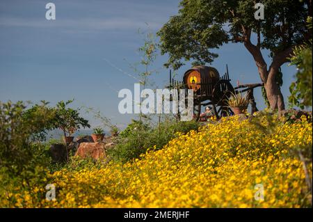 Myanmar, Western Burma, Nyaungshwe, Red Mountain Estate winery Stock Photo