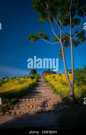 Myanmar, Western Burma, Nyaungshwe, Red Mountain Estate winery, path to estate Stock Photo