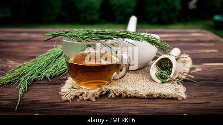 cup of tea from horsetail, made from fresh potion, from pharmacy mortar. Horsetail infusions are used as diuretic for edema Stock Photo