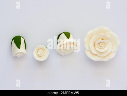 Begonia cake decorations, edible Stock Photo