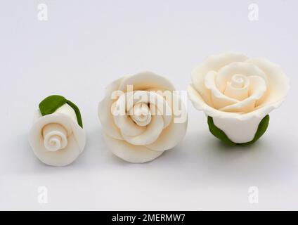 Begonia cake decorations, edible Stock Photo