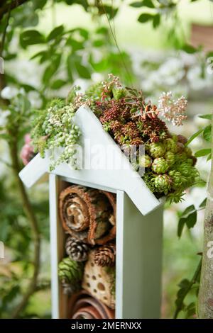 Insect hotel with planted roof Stock Photo