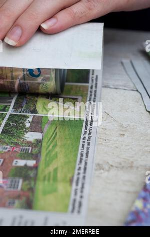 Making a seed pot made of newspaper Stock Photo