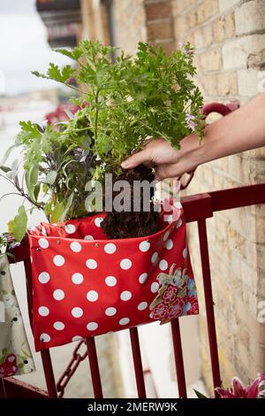 Saddle bag style balcony planters Stock Photo