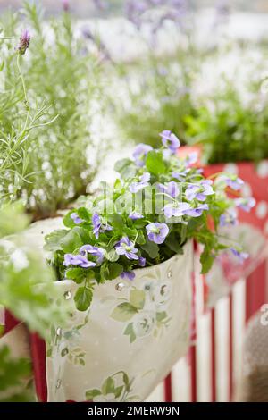 Saddle bag style balcony planters, close up Stock Photo