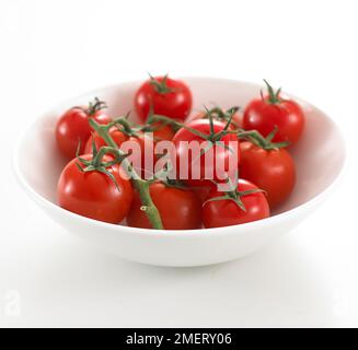 Cherry tomatoes on the vine Stock Photo