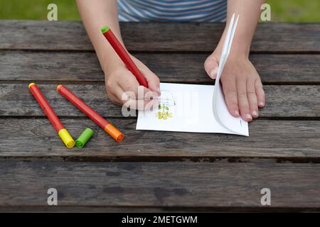 Making flower flick book Stock Photo