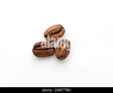 Nicaragua, roasted Matacaturra washed coffee beans Stock Photo