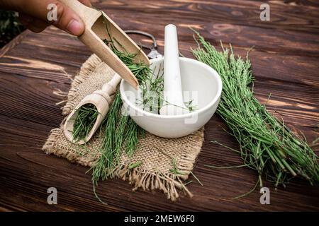 A hand pouring dry grass horsetail, snake grass, puzzlegrass, candock, into a mortar. Equisetum infusions are used as diuretic for edema Stock Photo