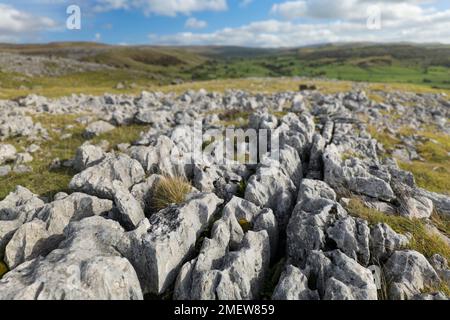 The Norber erratics, glacial erratic boulders on the southern slopes of Ingleborough, Yorkshire Dales National Park, England Stock Photo