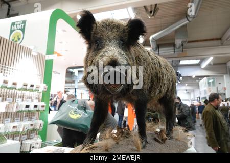 Dortmund, Germany. 10th Jan, 2023. A stuffed wild boar is prominently displayed at a booth. At the international public fair Jagd & Hund, everything revolves around hunting and fishing in the Dortmund exhibition halls until Sunday. At the largest hunting fair in Europe, according to the organizers, 580 exhibitors from 36 countries are at the start. Credit: Ann-Marie Utz/dpa/Alamy Live News Stock Photo