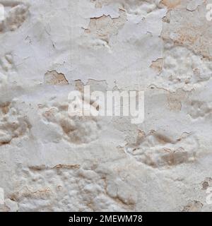 Aged Wall Texture. Old Damaged Wall Pattern. Weathered Surface with Cracked Plaster. Outdoor or indoor. Square Banner Stock Photo