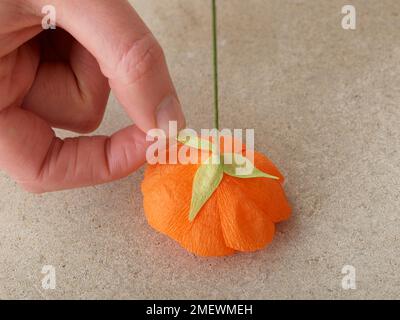 Papercraft. DIY Paper Ranunculus, Adding Petals Stock Photo - Alamy