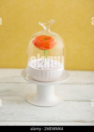 Papercraft. DIY Paper Ranunculus on stand with yellow background Stock Photo