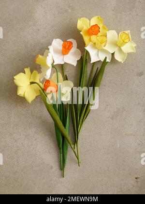 Papercraft Daffodil beauty shot Stock Photo